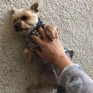 Meet your Posher, Wenbo